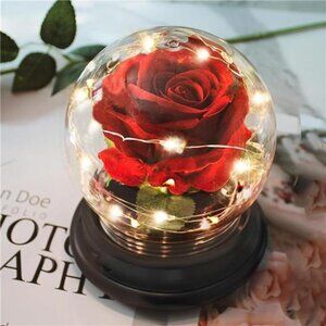 Valentines RoseGifts for Her,Valentines Flowers Gifts for Mom Women